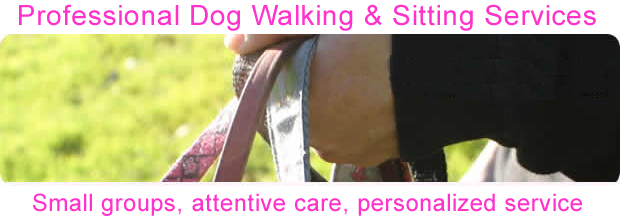 Image of Carla's hand holding leashes with the following written on the image: Professional Dog Walking & Sitting Services. Small groups, attentive care, personalized service.